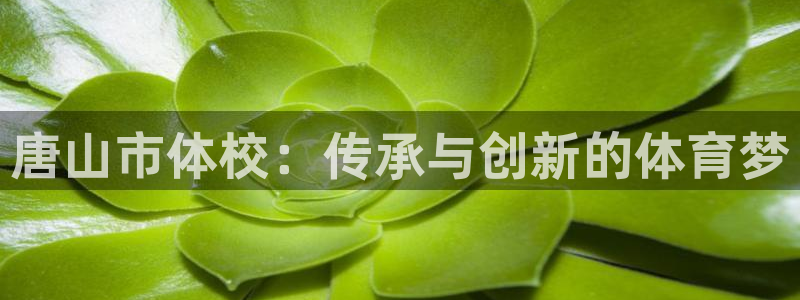 中欧体育平台