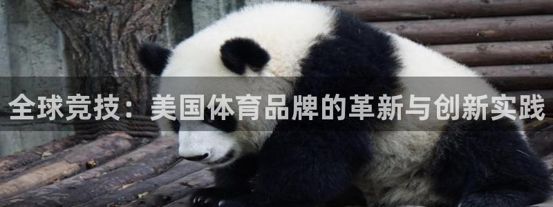 中欧体育网页版