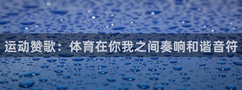 中欧体育全站app