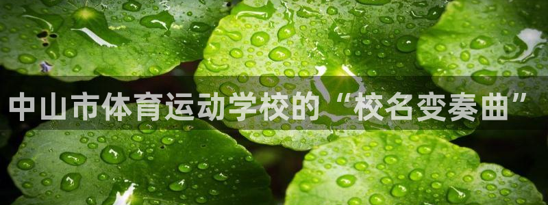 中欧体育ios