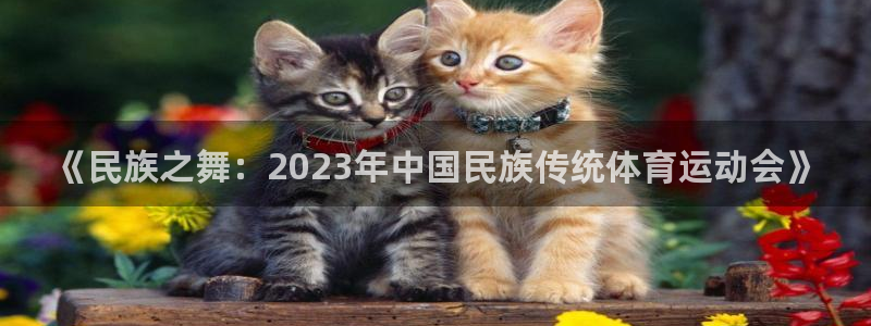 中欧体育网站