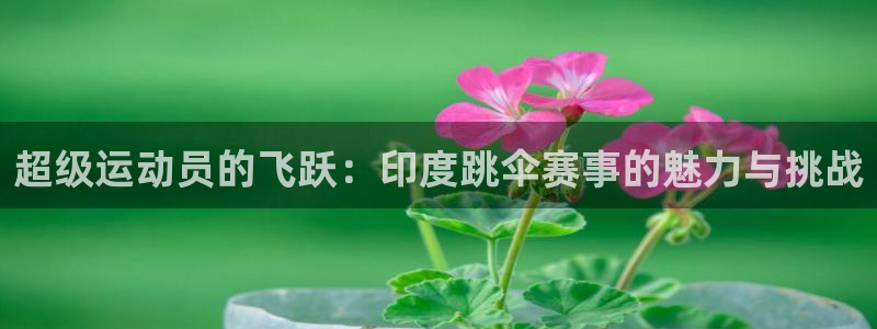中欧体育ac米兰