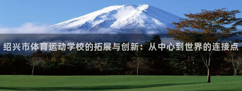 中欧体育网站