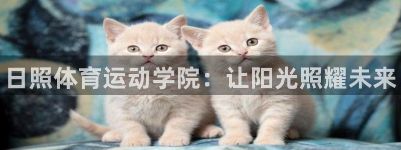 中欧体育(zoty)官网