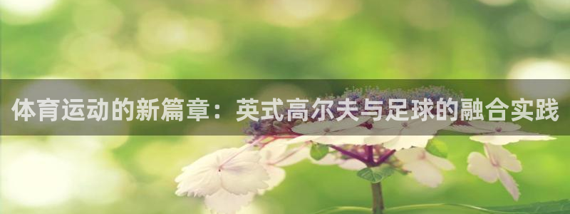 zoty中欧体育