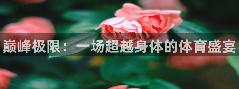 中欧体育ac米兰