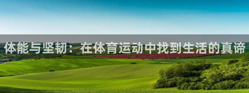 中欧体育官网入口