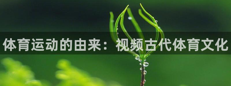 中欧体育网址