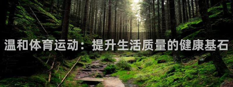中欧体育在线
