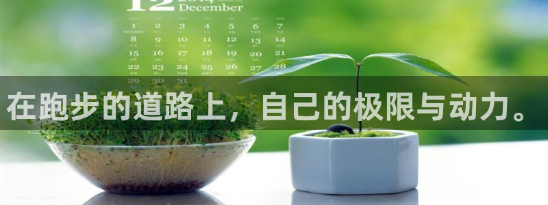 中欧体育kok