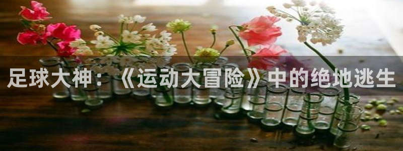 中欧体育