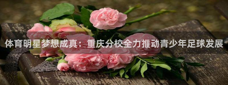 中欧体育网址