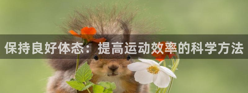 中欧体育(zoty)官网
